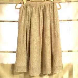 Metallic Skirt